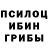 Псилоцибиновые грибы прущие грибы Elijah Raines