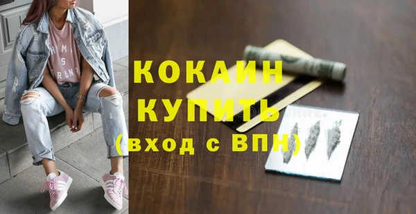 спиды Инта