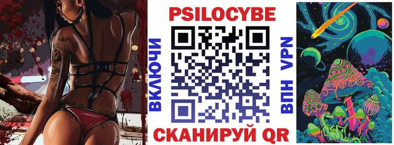 Купить закладки  Нефтекумск  Галлюциногенные грибы Psilocybe 